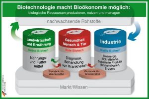Bioökonomie bietet große Chancen für Deutschland
