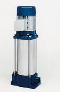 Vertical multi-purpose pumps