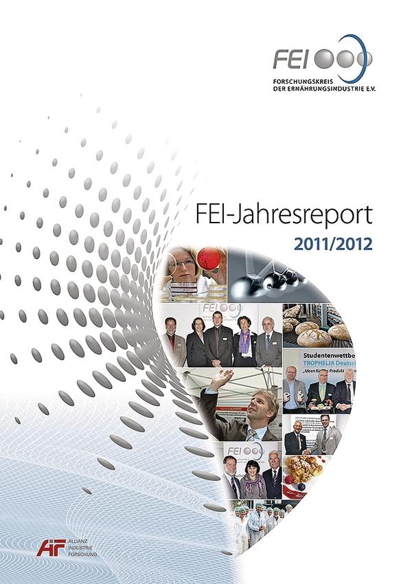 FEI-Jahresreport 2011/2012