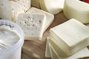 Enzyme für Joghurt und Käse