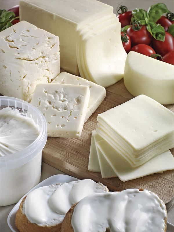 Enzyme für Joghurt und Käse