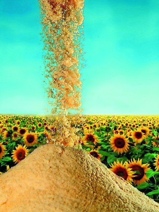 Maßgeschneiderte Sonnenblumen-Lecithine