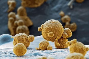 Nanopartikel: Auf der sicheren Seite