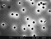 Kernspur-Membrane aus Polycarbonat