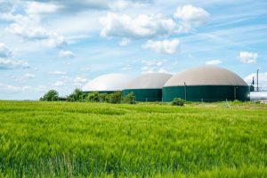 Biogasanlage_in_Deutschland_mit_Getreidefeld