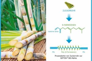 Bio-TPE auf Zuckerrohrbasis