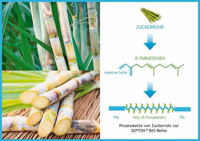 Bio-TPE auf Zuckerrohrbasis