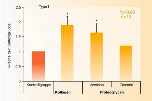 Bioaktive Kollagenpeptide für Sportnahrung mit Mehrwert