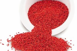 Cranberry-Samen mit leuchtend roter Farbe