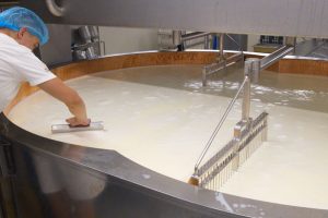 Druck- und Temperatursensor überwachen Prozessparameter in Käserei