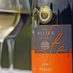 Weingut_Welter_Wein