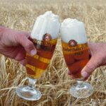 Zwei_Biergläser_im_Kornfeld