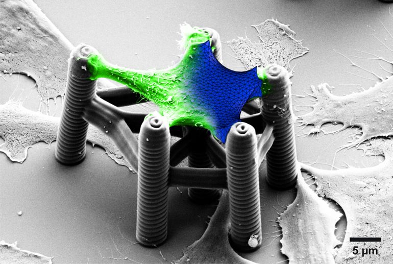 Vom Molekül bis zur Makrostruktur: Materialdesign in 3D