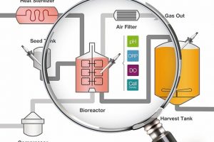 Kritische Prozessparameter im Bioreaktor